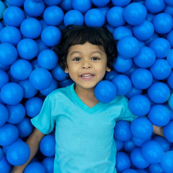 500 Blue Color Balls