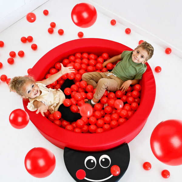 LadyBug Climber