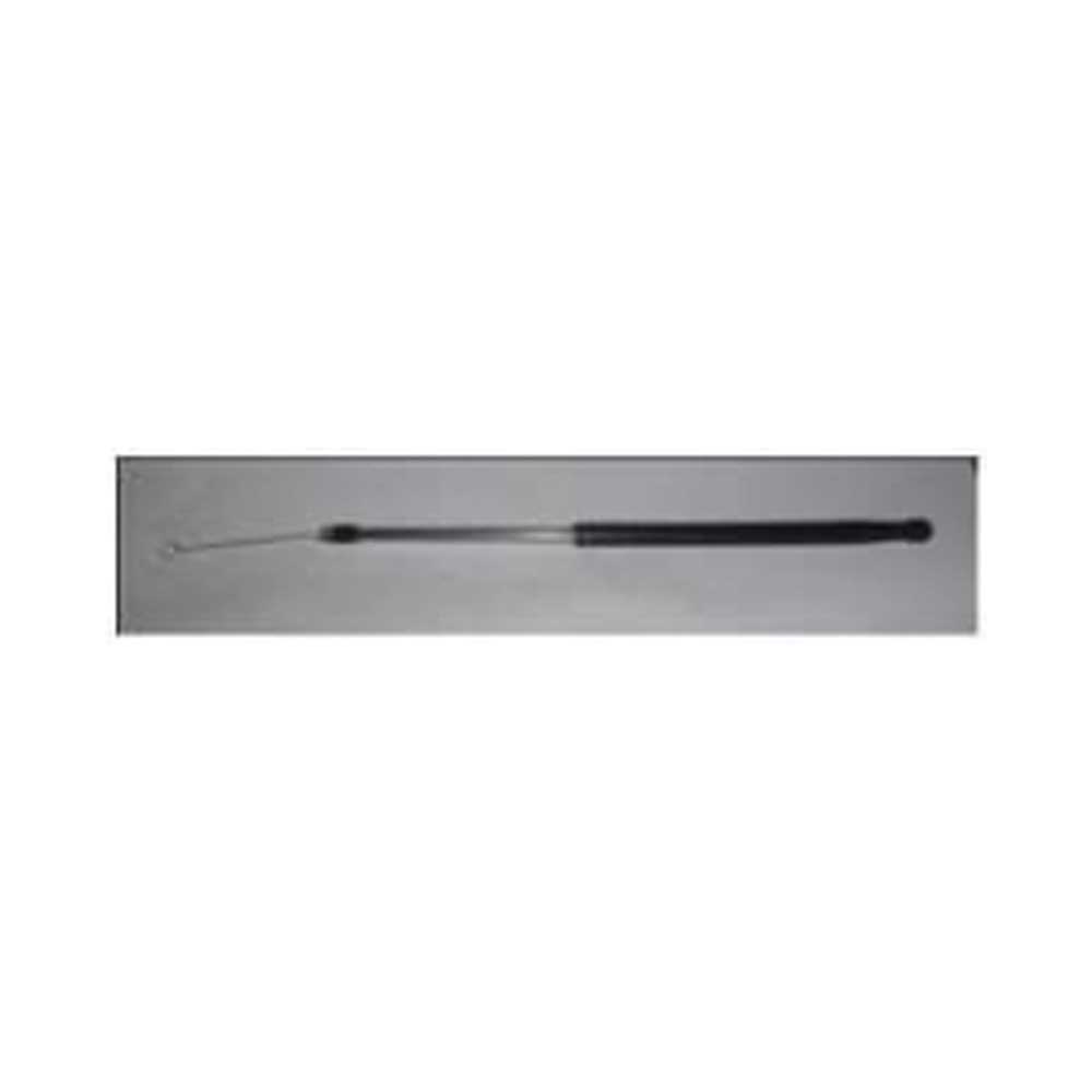 Inoculating Needle, Looped End