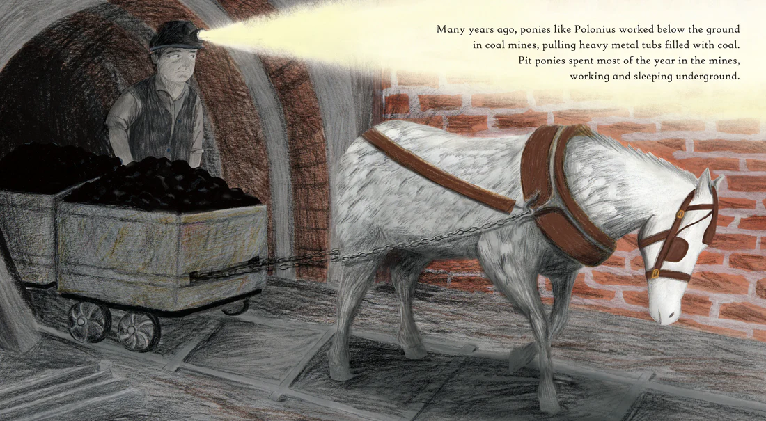 Polonius the Pit Pony - Hardcover Edition