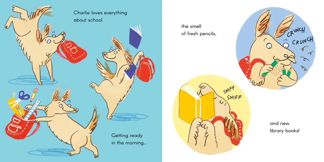 A New School for Charlie - Softcover Edition