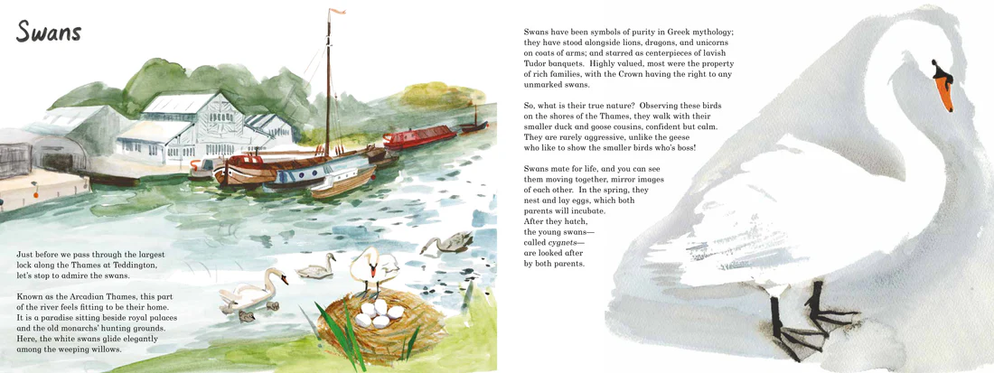 Life on the Thames - Softcover, US Edition