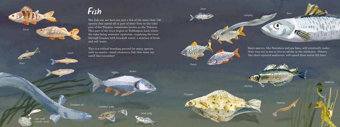 Life on the Thames - Softcover, US Edition