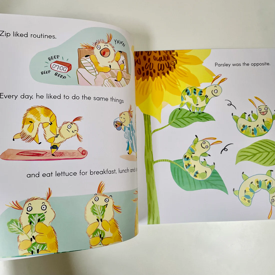 For the Love of Lettuce - Softcover Edition
