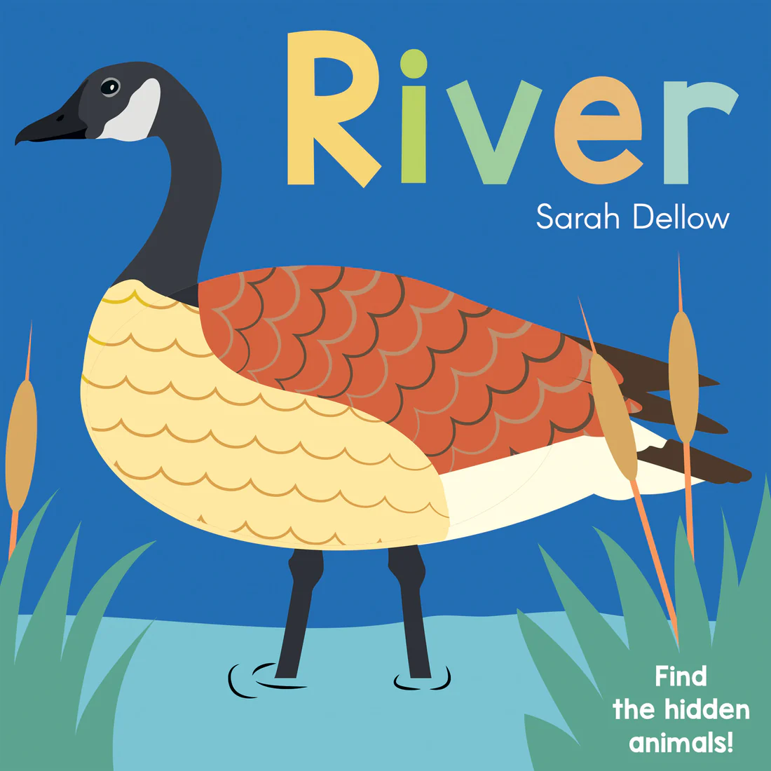 Now you See It! River - Board book Edition