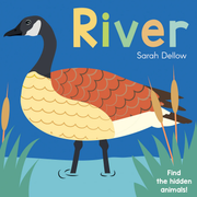 Now you See It! River - Board book Edition