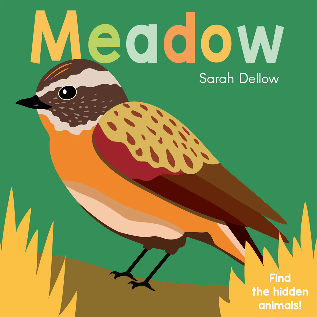 Now you See It! Meadow - Board book Edition