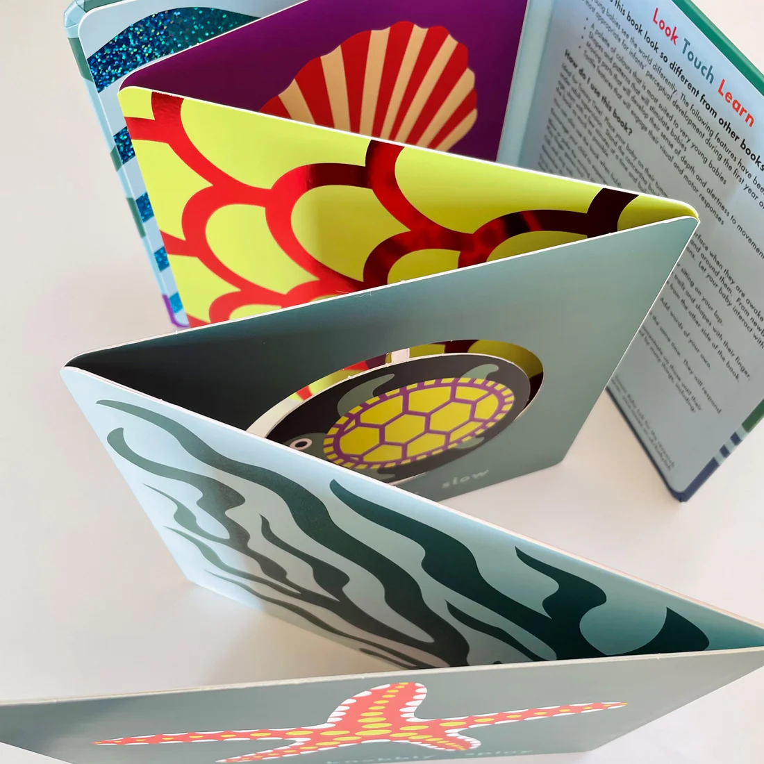 Sea - Board book Edition