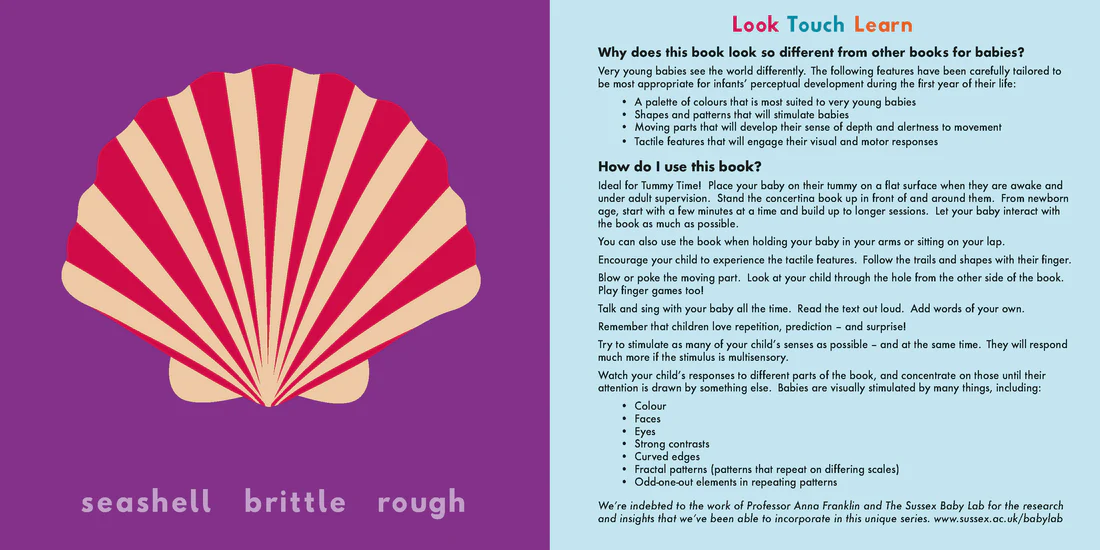 Sea - Board book Edition
