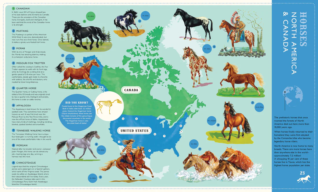 Around the world on 80 Horses - Hardcover Edition