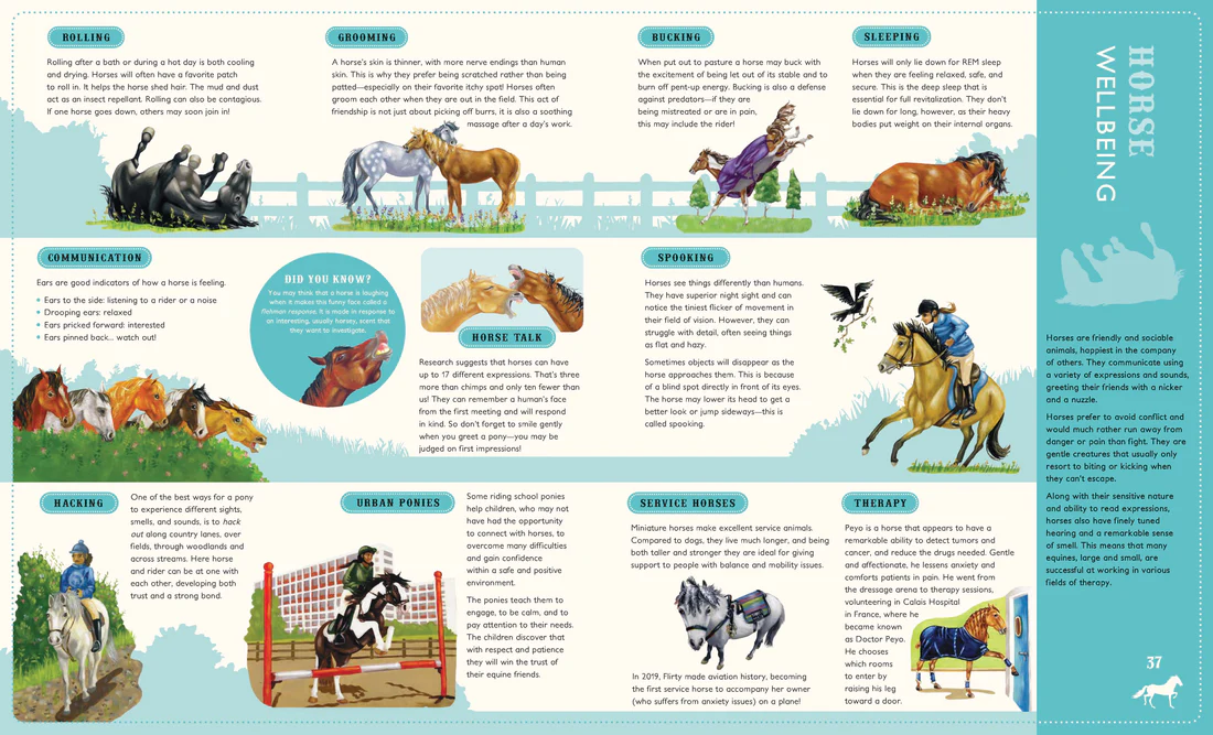 Around the world on 80 Horses - Hardcover Edition