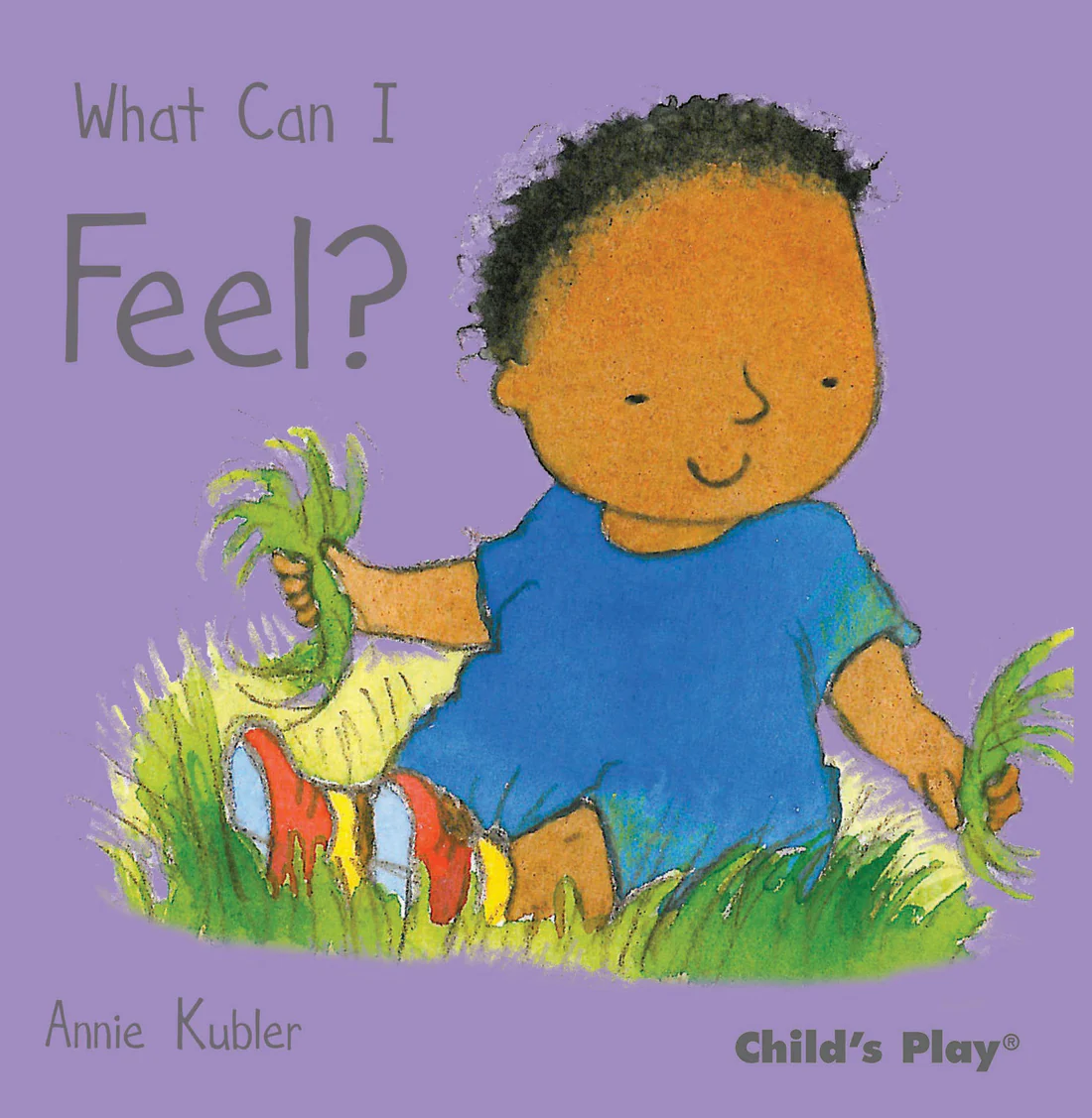 What Can I Feel? - Board book Edition