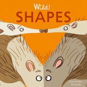 Shapes - Board book Edition