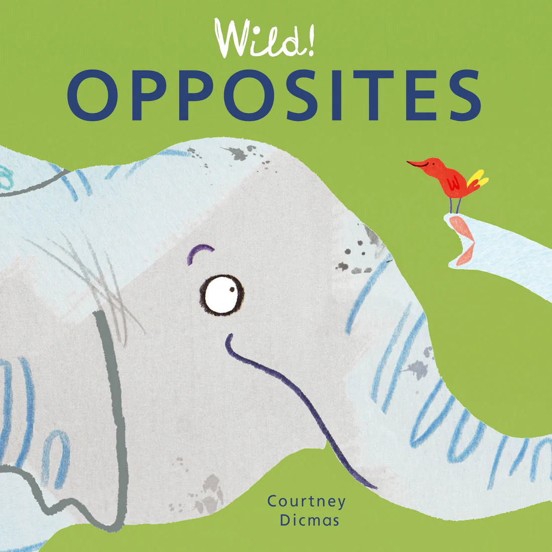 Opposites - Board book Edition