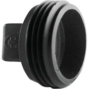 ABS 00106  0800HA Charlotte Pipe 2 In. MIP Threaded ABS Plug