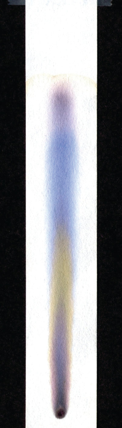 United Scientific® Chromatography Paper, Pack Of 100 Strips