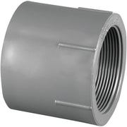 Charlotte Pipe 1-1/4 In. Schedule 80 Female PVC Adapter