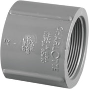 Charlotte Pipe 1 In. FIP x FIP PVC Coupling