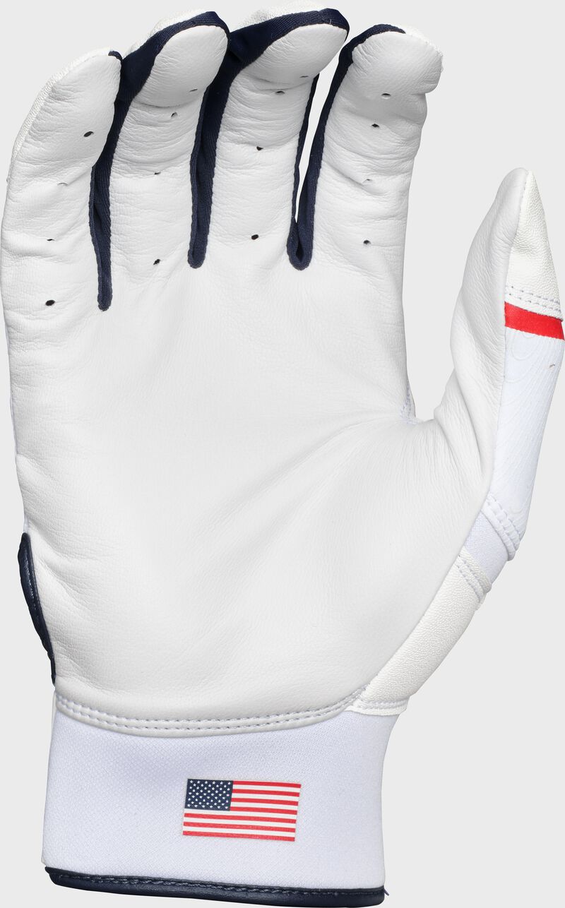 Rawlings Youth Clout Batting Gloves - Large - Usa