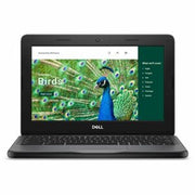 Dell - Chromebook 3120 11.6" Laptop Intel N-Series N100 4GB 64GB EMMC - Gray