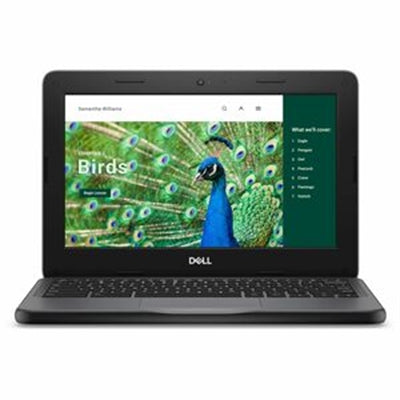 Dell - Chromebook 3120 11.6" Laptop Intel N-Series N100 4GB 64GB EMMC - Gray