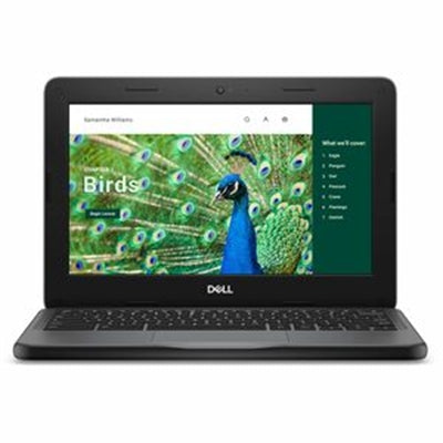 Dell - Chromebook 3120 11.6" - Intel N100 - 4 GB - 64 GB - ChromeOS - Intel UHD Graphics - Webcam - Wi-Fi 6 CC6PF - Gray
