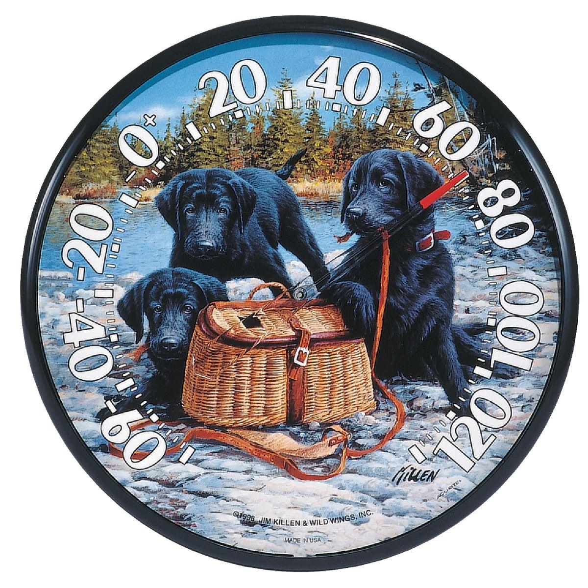 Acurite 12-1/2" Fahrenheit -60 To 120 Outdoor Wall Thermometer