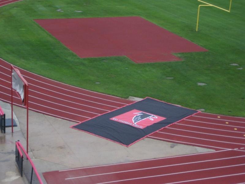 Aer-Flo 3G Track Protector - Enka & Vipol - 6' X 40'