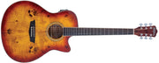 Washburn DFBACEA Deep Forest Burl Grand Auditorium Acoustic Electric Guitar, Amber Fade