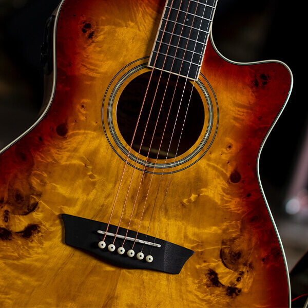 Washburn DFBACEA Deep Forest Burl Grand Auditorium Acoustic Electric Guitar, Amber Fade
