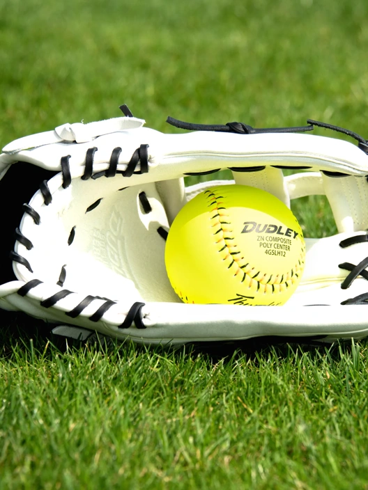 Dudley Fielders Glove H Web Black 13"