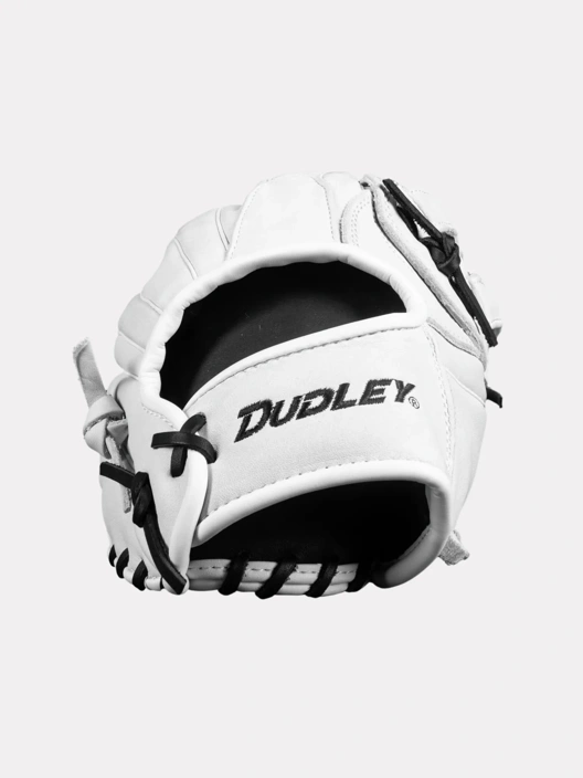 Dudley Fielders Glove H Web Black 14"