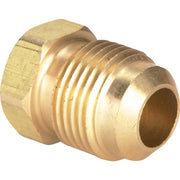 1/2 In. Brass Low Lead Flare Plug