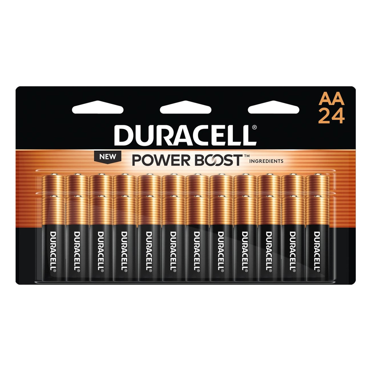 Alkaline Battery, MN1500, Coppertop, AA, 24PK, 12/CS