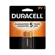 Alkaline Battery, MN1604, Coppertop, 9V, 1PK, 48/CS