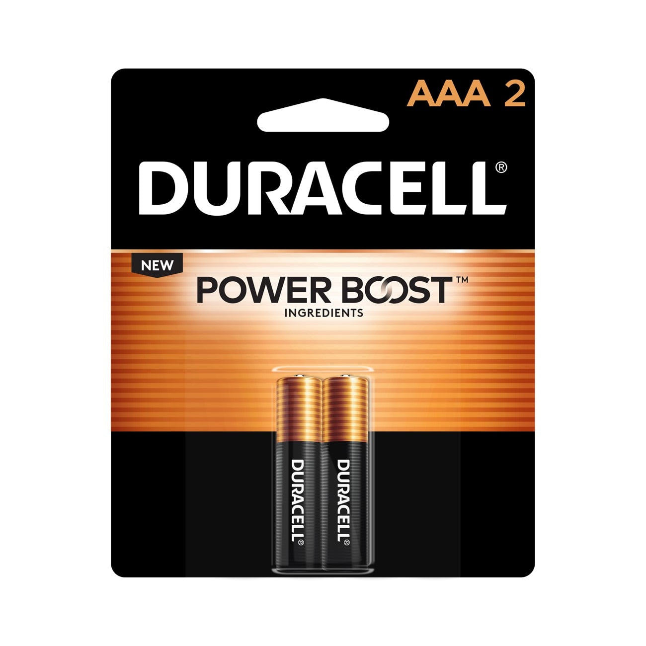 Alkaline Battery, MN2400, Coppertop, AAA, 2PK, 54/CS