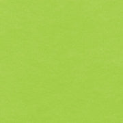 Fabric - Felt Sheets, 9"X12", 24/Pk - Neon Green