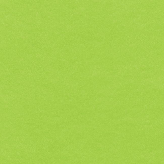Fabric - Felt Sheets, 9"X12", 24/Pk - Neon Green