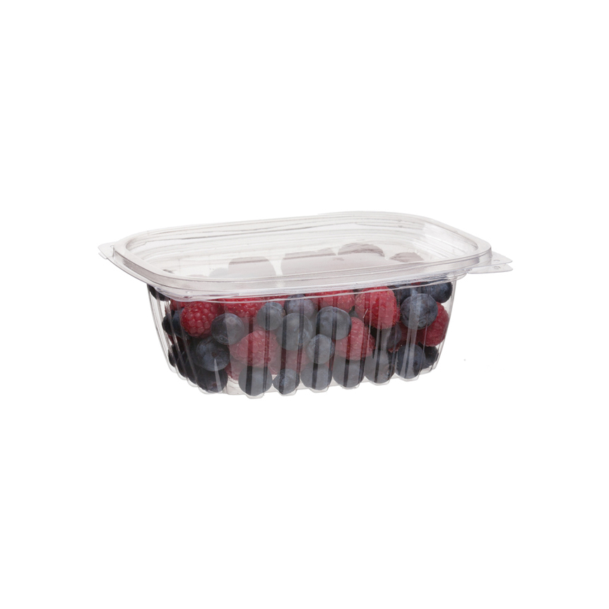 Renewable & Compostable Rectangular Deli Containers - 12oz. - Case of 300