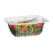 Renewable & Compostable Rectangular Deli Containers - 32oz. - Case of 200