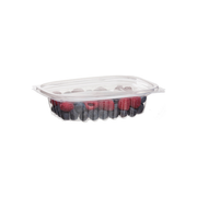Renewable & Compostable Rectangular Deli Containers - 8oz. - Case of 300