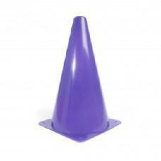 Plastic Cones - 15" H, Purple