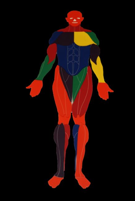 Body Puzzles - 36.25" x 15.35" x 4 mm