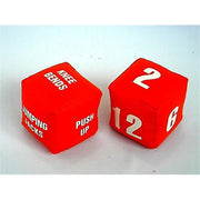 Fitness Dice - 4" * 4" * 4" - set of 2