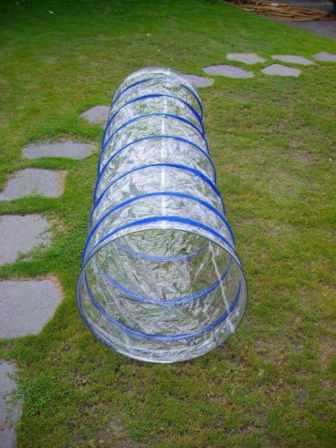 Transparent tunnel-9'