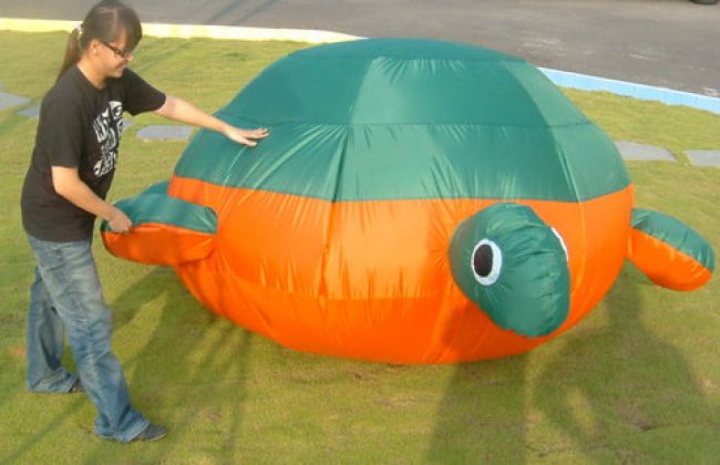 Light Turtle Shape Ball