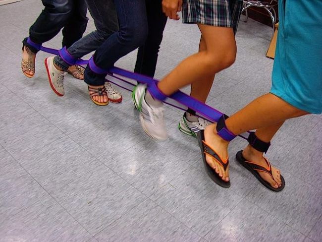 Team Walking Straps - set of 2, 55" Long