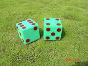 Foam Dice w/ Dots - 5"