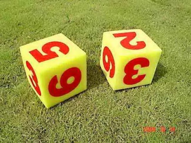 Foam Dice w/ Numbers - 5"