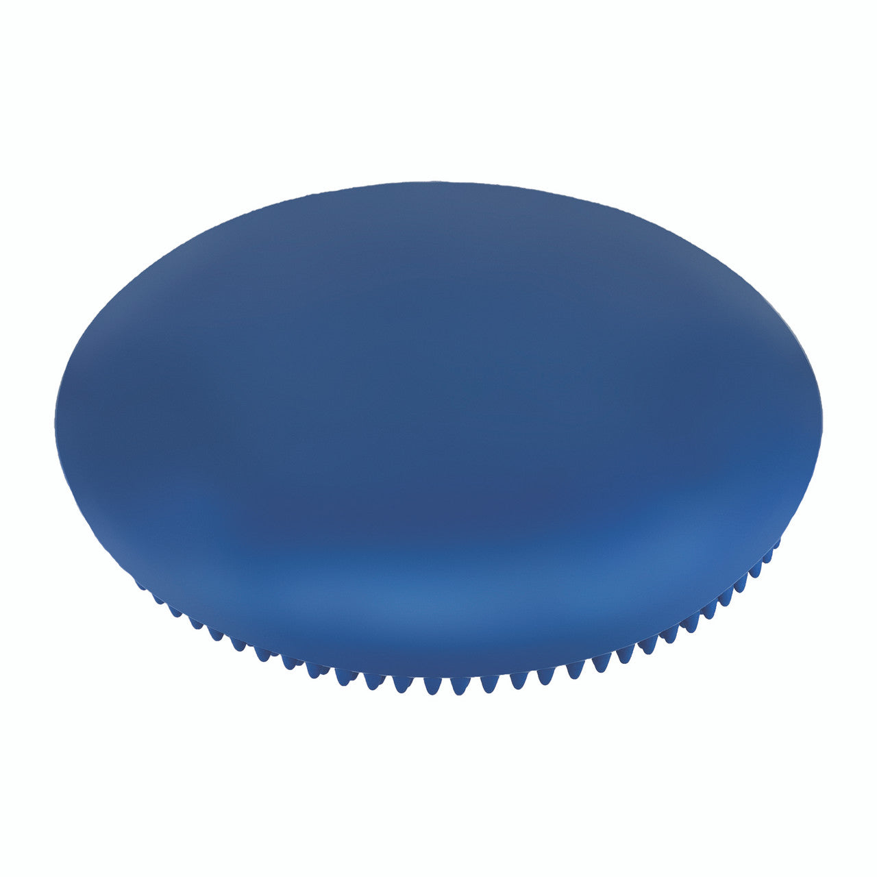14 Inch Exercise Disc
